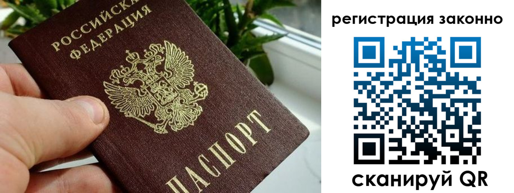 прописка гарантия в Гагарине